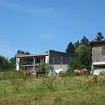 Sandra Mit Balkon -naehe Bodensee&pfaender Apartment *