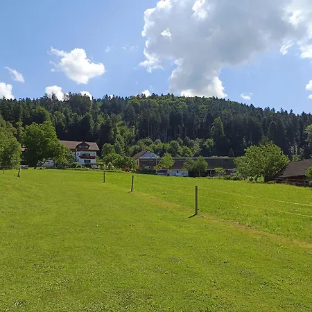 Lejlighed Sandra Mit Balkon -naehe Bodensee&pfaender Hörbranz