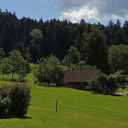 Sandra Mit Balkon -naehe Bodensee&pfaender