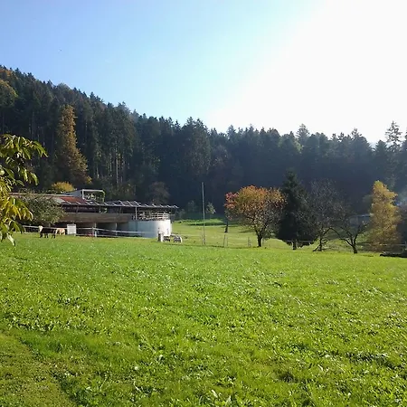 Sandra Mit Balkon -naehe Bodensee&pfaender